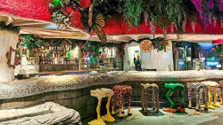 Junge Restaurant